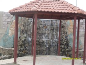 SDC10498-min
